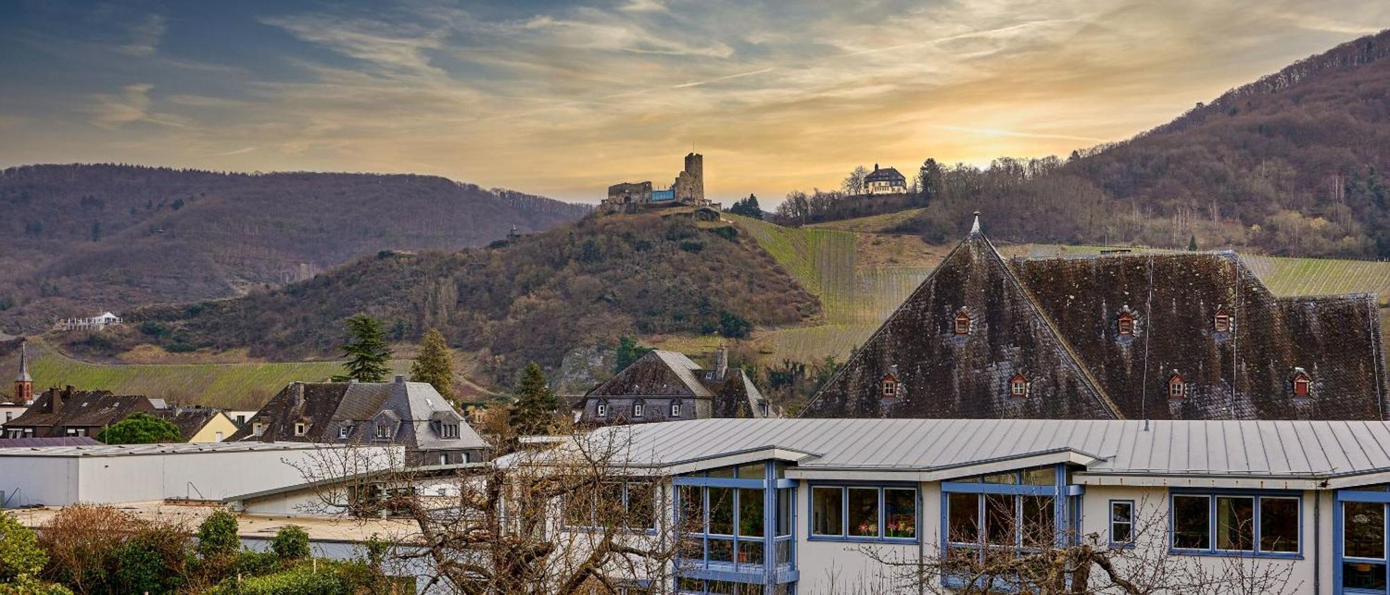 Weinquartier11 Villa Verbandsgemeinde Verbandsgemeinde Bernkastel-Kues Buitenkant foto